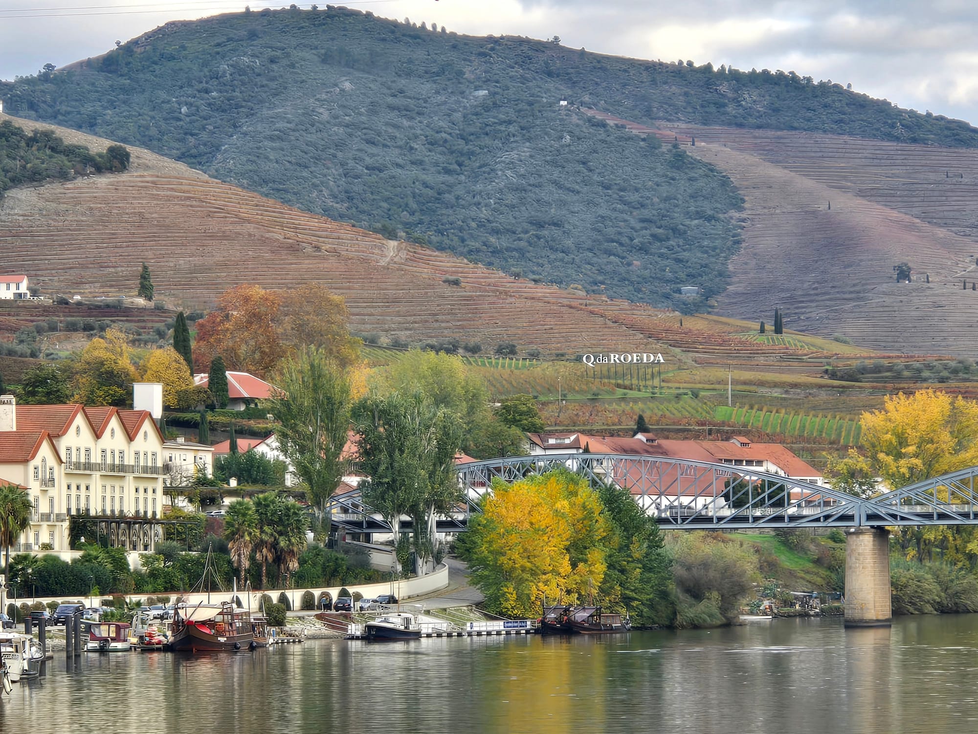 Scenic vineyards and hillside landscape along the Douro River in Portugal